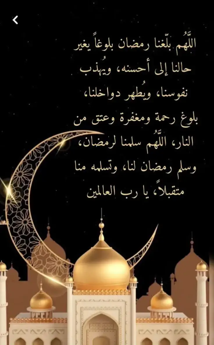 #دفلاوي_____44💖💖💖 #شعب_الصيني_ماله_حل😂 #وهران_الجزائر_عنابة_سكيكدة_بليدة✨🔥❣️ 