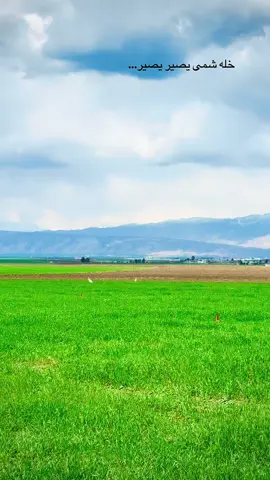 خله شمى يصير يصير#ضاحى_الاهوازي #الكوردستان🇹🇯العراق🇮🇶💕❤️ #موصل_بغداد_كركوك_حله_نجف_بصره #بغداد_بصرة_موصل_الكويت_الخليج_دبي_ #اربيل #دهوك_duhok  #زاخو #16promax #CapCut #