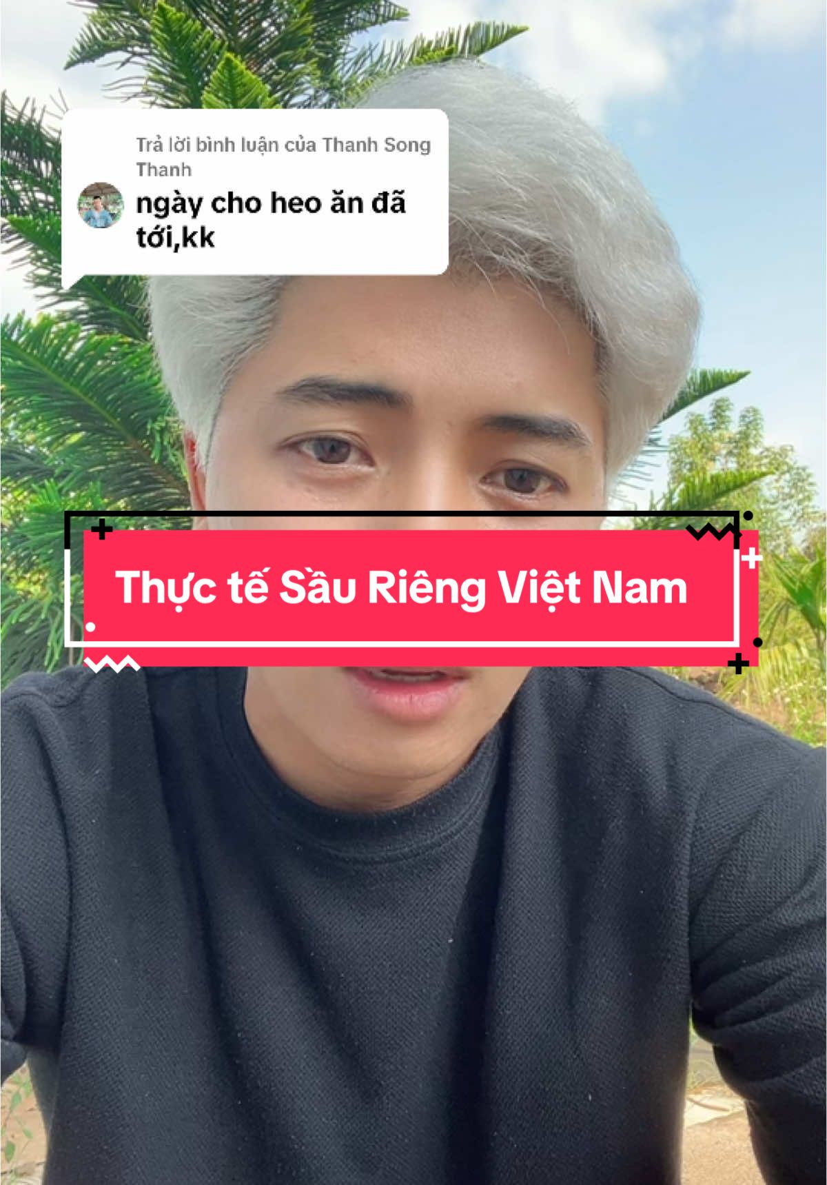 Trả lời @Thanh Song Thanh  không bé ơi. #traicayalung 