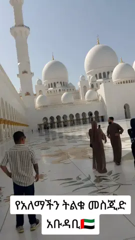 #ኢትዬጲያንቲክቶክ #ዱባዮች🇦🇪 #ዱባይ #viralvideo see..