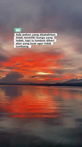 #katakata #motivasihidup #motivasidiri #4u #fyp #foryoupage 