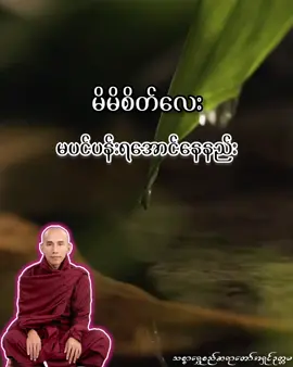 #မိမိစိတ်လေး မပင်ပန်းရအောင် #သစ္စာရွှေစည်ဆရာတော်အရှင်ဥတ္တမ၏တရားတော် #ဓမ္မဒါန #🙏🙏🙏 