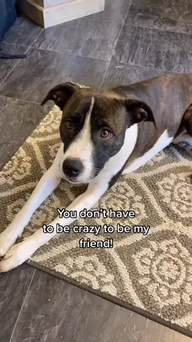 We made it to Friday y’all! Let’s all get a little wild this weekend!  