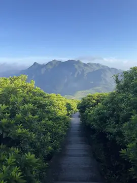 中国的山景 #china #fyp 