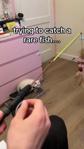 fishberts #fyppppppppppppppppppppppp #kitten #catsoftiktok #scoobdoobgoob #fypdongggggggg 