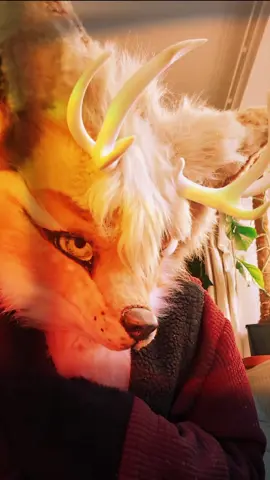 #therianthropy #alterhuman #therian #fursuit #furry #motheroftherians 