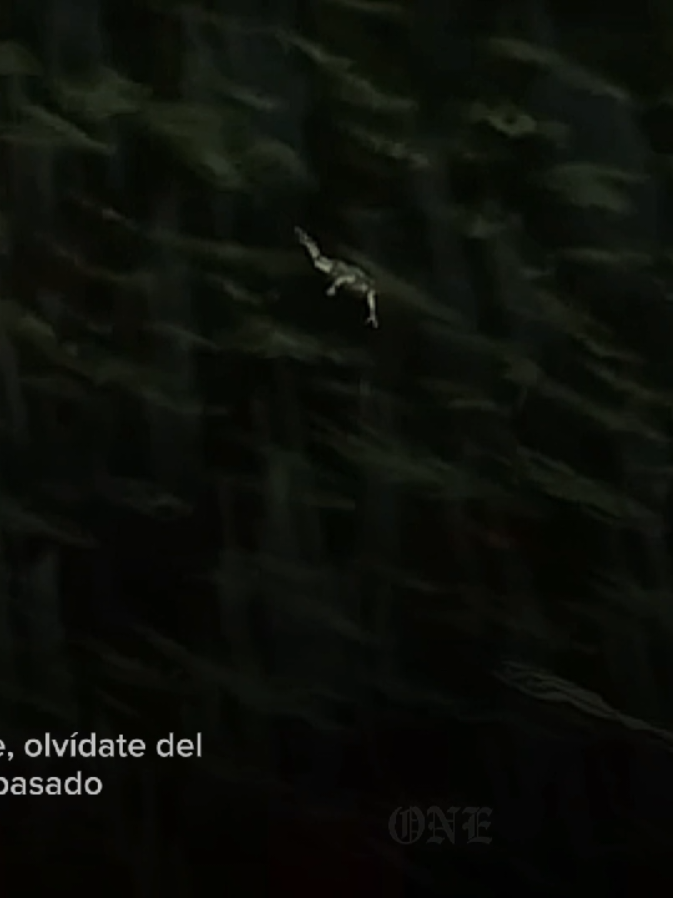 Y como Hércules con Hades por ti bajo pa'l infierno❤️‍🔥#roa  #ppc #hades66 #hades  #paratii #paratiiiiiiiiiiiiiiiiiiiiiiiiiiiiiii  @ROA 