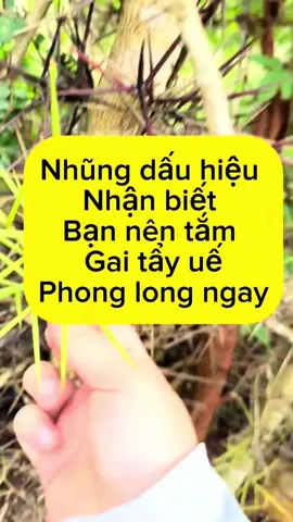 #tắmgaithảomộcchiêutài #xôngnhà #tắmgaitẩyuế 