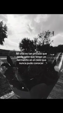 #tiktokk #fpyシ #viralllllll #fyp #foryou #cielo #hermano #xybzca #parati #foryoupage 