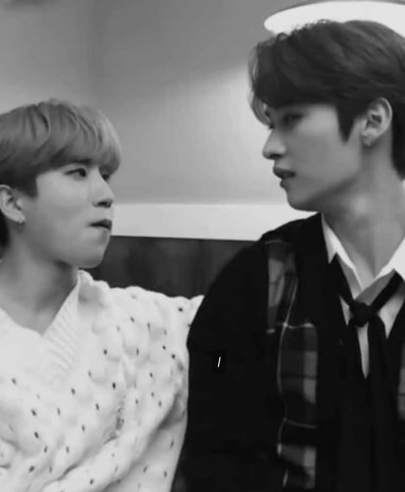 🐈 #Minsung #leeminho #leeknow #hanjisung #straykids #fyp #kesfet #foryourpages 