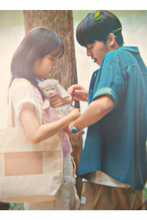 #twinklingwatermelon • sorry for the inactivity #twinklingwatermelonedit #hayichan #choihyunwook #yoonchungah #shineunsoo #edit #kdrama #cute #fyp #xybca #viral #dontflop 