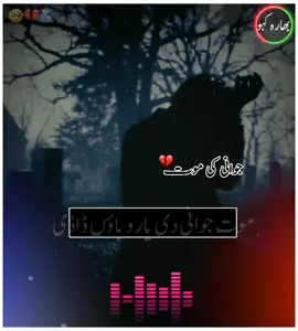 Waqia Mout Pothwari Sher 🥺❤️ #foryou #foryoupage #pothwarisher #pothwari_mani #mani_bharakahu #mani_nainsukh 