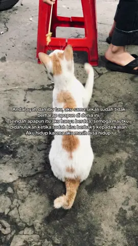 #foryou  #lewatberanda  #growmyaccount 