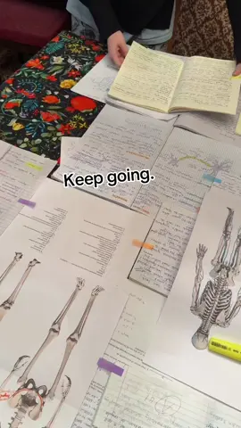 Study with me📝📚 #studytok #studyroutine #studymotivation #studywithme #gcse2024 #alevels2024 #mocks #biologymajor #apbiology #gcsescience #gcsechemistry #chemistrytest #honorstudents #ibstudent #academicvalidation #academicweapon #alevelchemistry #procastinating #foryou 