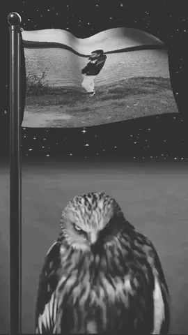 #مختار_تيك_توك #سوريا #حره #فولو🙏🏻لايك❤️اكسبلور🙏🏻🌹💫 #CapCut 