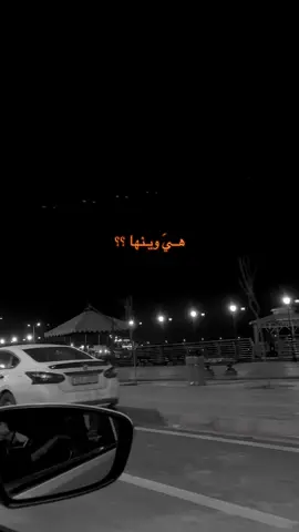 #عباس_حمزة #شعراء #جواب #🤎🤎🤎 