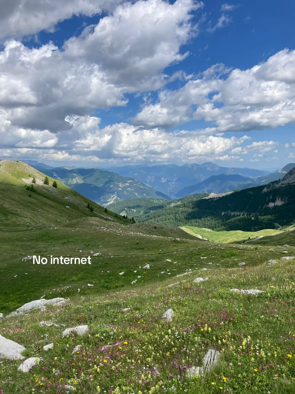 #beautyinlife #summervibe #beautifulday #naturelover #naturelovers #forestcore #naturevibes #greenaesthetic #peacefulvibes #takeabreak #happylife #vanlifers #vanlifetravel 