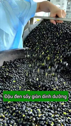 Đậu đen xanh lòng sấy giòn, thơm ngon và bổ dưỡng lắm ạ.