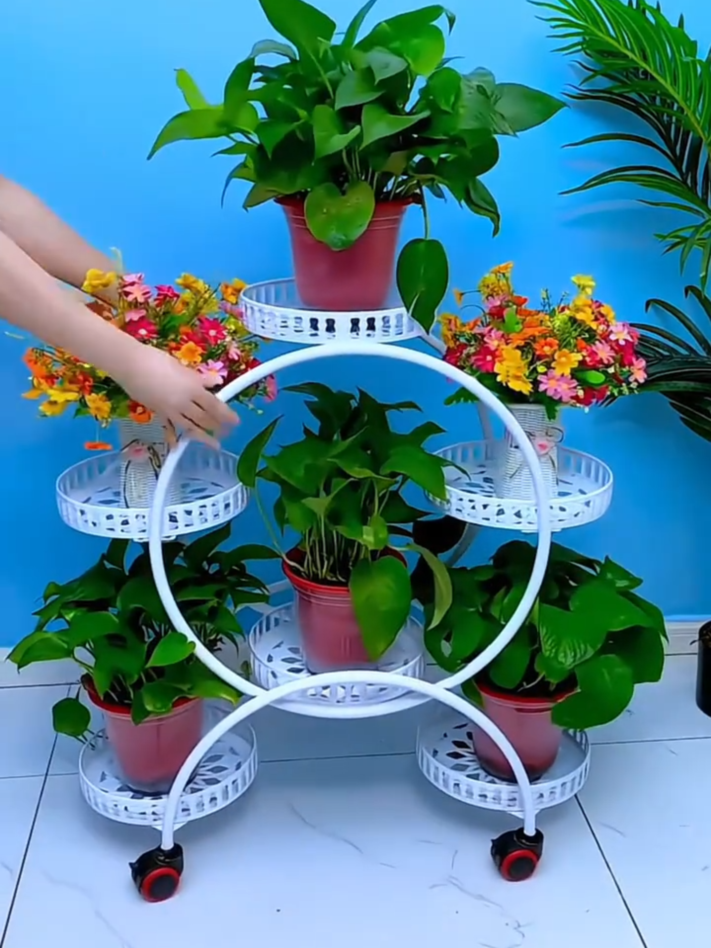 Kệ để chậu cây trong nhà.  #giadungthongminh #dogiadungtienich #giadungxanh 