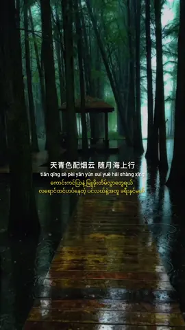 青花瓷 #chinesesong #pinyin #songlyrics #song #music #tiktok #fyp 