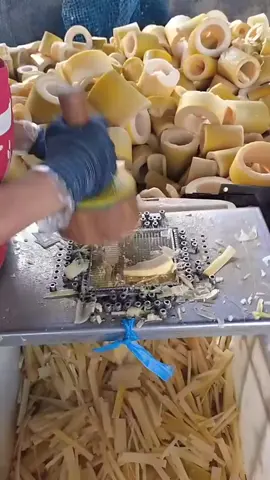 #onthisday bamboo plant processing