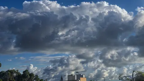 #CapCut 