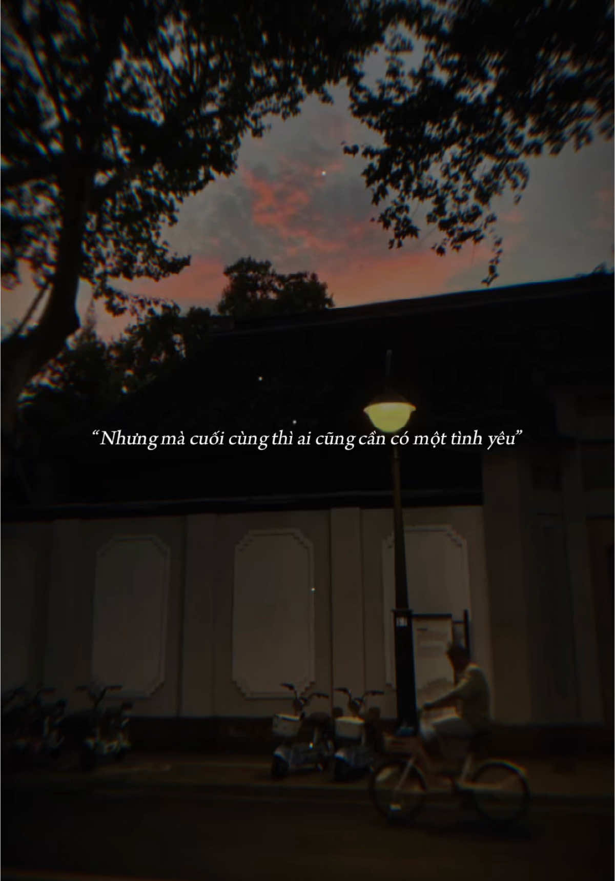 Một mình vẫn ổn nhưng cuối cùng thì ai cùng cần có một tình yêu… #dong216 #aries 