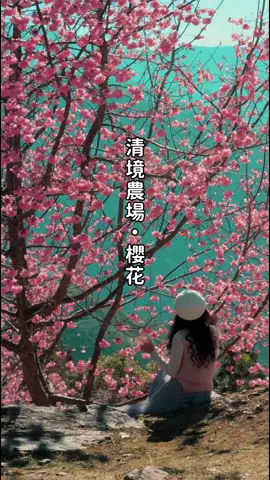 清境農場．青青草原·櫻花 地址：南投縣仁愛鄉仁和路170號 開放時間︰AM 08:00–PM 17:00 票價資訊︰全票270元 「清境農場」位處海拔1750公尺以上高山，今年因寒流，全台各地櫻花紛紛遲到。清境農場的青青草原粉嫩的吉野櫻🌸，從二月中旬登場，目前盛開中，將青青草原點綴的如夢似幻，花期預計到三月初。 ▍地址︰南投縣仁愛鄉仁和路170號  ▍電話︰049-2802172 ▍開放時間︰AM 08:00–PM 17:00 ▍票價資訊︰全票270元 #櫻花#賞櫻#清境農場櫻花#清境農場#青青草原#清境農場青青草原#青青草原櫻花#Cherry blossoms #さくら#花海#季節限定 #南投旅遊#南投景點#熱門景點#網紅景點#ig打卡#travel#自然#風景#仁愛鄉#仁愛鄉景點#대만여행 #台湾旅行#台湾大好#旅行#旅遊#旅拍#taiwan travel#visiting taiwan #仁愛鄉旅遊