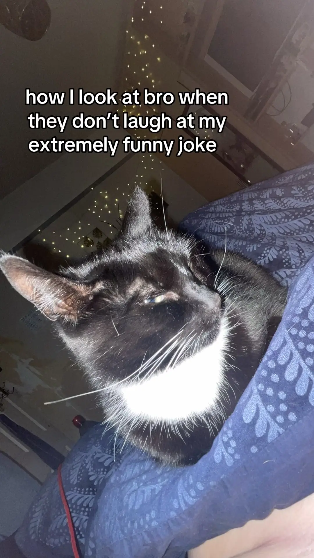 @Jodie 🤍 @𝐦𝐞𝐠𝐚𝐧 𝐟𝐚𝐲𝐞 ᥫ᭡ #fyp #funny #funniestfriend #laugh #ho #bro #relateable #school #uk #repost