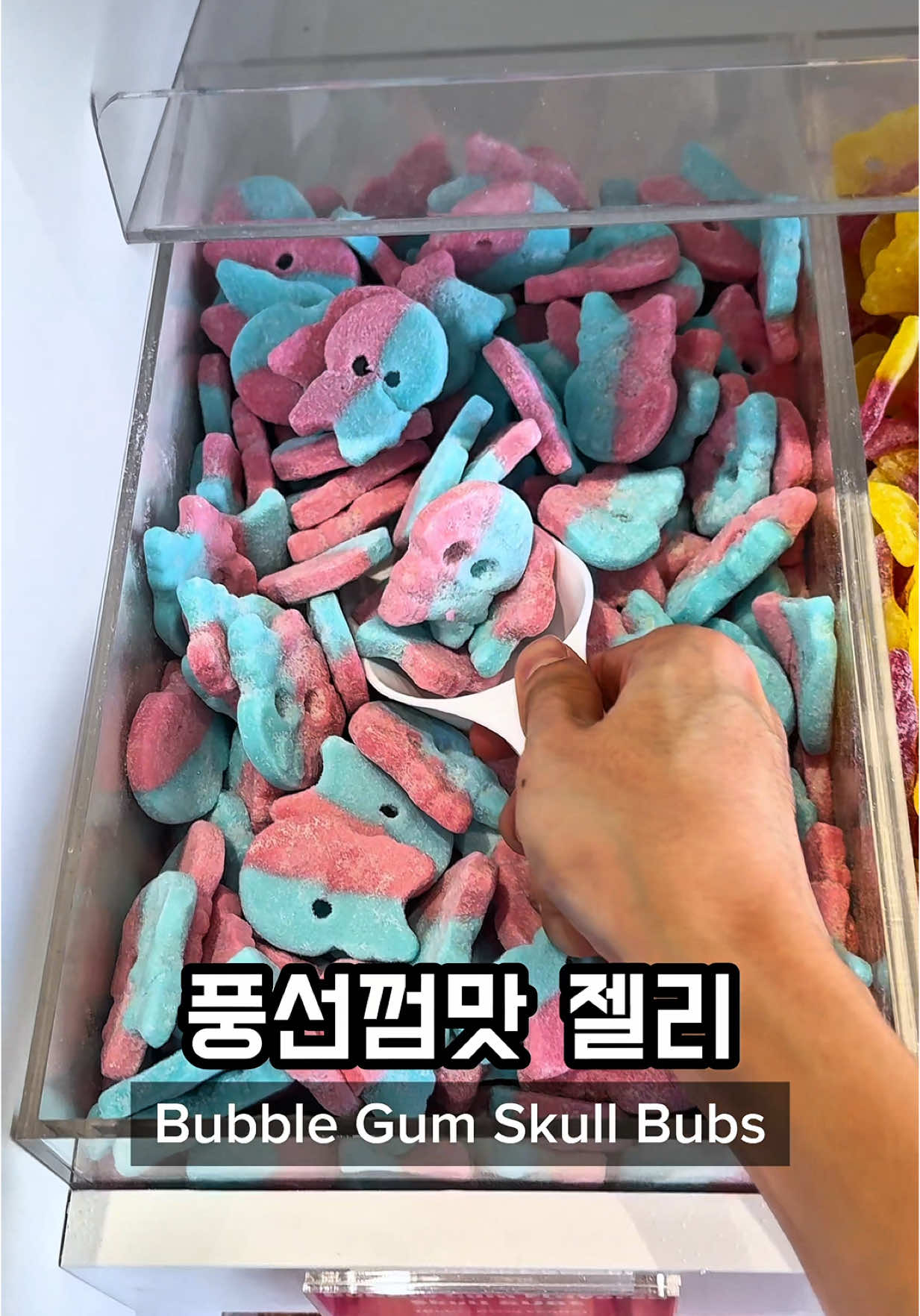미국 스웨디시 젤리 샵에 간다  🇺🇸🍬 Eating at a Swedish Candy Shop in USA #candy #FoodTok #mukbang #tiktokfood #koreanfood #eat #Foodie #yummy #틱톡푸드 #먹방틱톡 