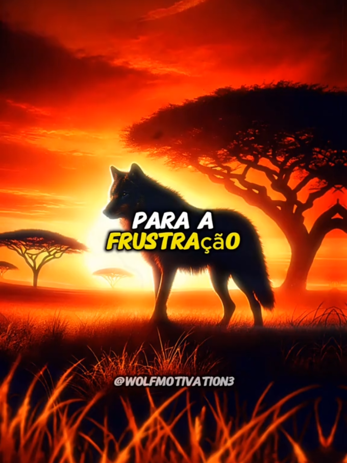Quando você finalmente consegue entender que as pessoas não têm a mesma obrigação de agir da mesma forma que você agiria, você começa a economizar tempo e decepções. #wolfmotivation 