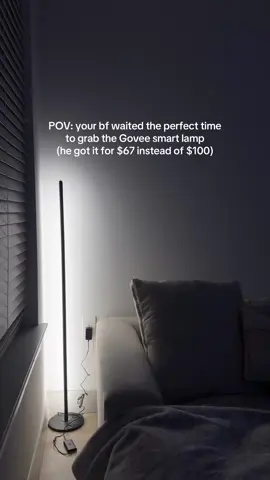 We love a good deal  #apartmentdecor #apartmentfinds #ambientlighting #goveesmartlamp #apartmentinspo 