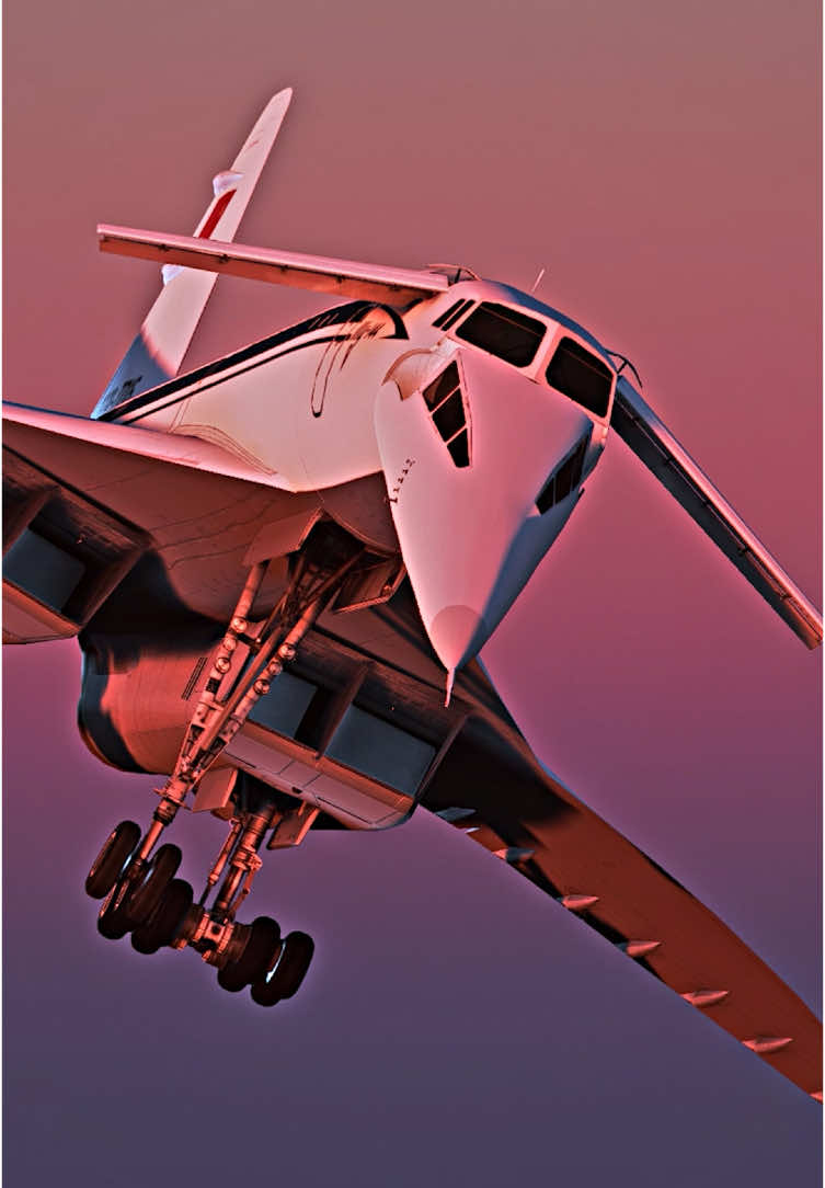 Tu 144  • • • #aviation #fly #flight #avgeek #planelovers #plane #airplane #msfs2020 #tiktok #viral