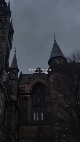 draco version #dracomalfoy #dracotok #fyp #fypシ #slytherin #slytherin🐍 #slytherinboysreact #dracomalfoytiktok #harrypotter #darkacademia #darkacademiaaesthetic #slytherinpride #slytherinaesthetic #dracotiktok #shifting #foryoupage #foryoupageofficiall #shiftingtohogwarts #shiftingtoharrypotter 