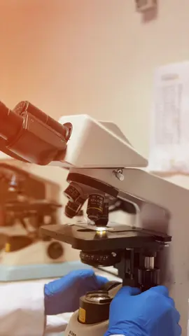 🔬✨ ¡BIENVENIDOS A ANALIZA LABORATORIOS! ✨🔬 La innovación y la precisión se unen para brindarte resultados confiables y de calidad. 🧪💉 ✅ Tecnología de vanguardia ✅ Análisis clínicos precisos ✅ Compromiso con tu salud ¡Estamos listos para hacer historia en el mundo de los laboratorios! 🚀 Síguenos para conocer más sobre nuestros servicios y cómo podemos ayudarte. 💙 #AnalizaLaboratorios #CienciaQueCuida #InnovaciónEnSalud #LaboratorioClínico #SaludConPrecisión