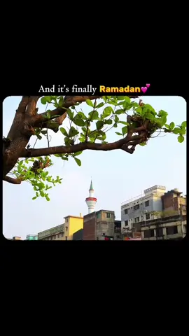 Ramadan Mubarak❤️ #Ramadan #2025  #foryoupage #foryou 