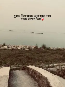 দুঃখও দিলা আবার অন্য কারো সাথে দেখার যন্তণাও দিলা❤️‍🩹#foryoupage #foryou 