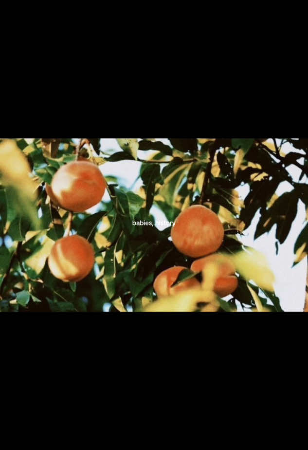 poem by charles bukowski “let it enfold you” #beautifulboy #timotheechalamet #letitenfoldyou 