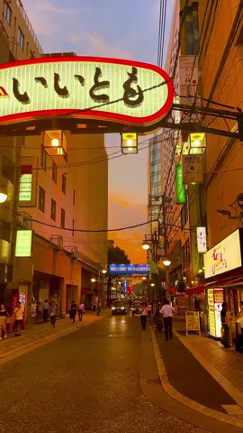 Hiroshima City / 広島市 #japan #japantravel #広島 #hiroshima #izakaya #広島県 #居酒屋 