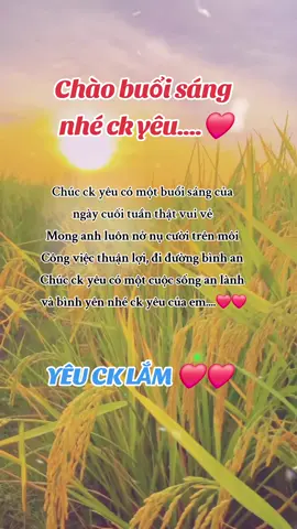 Chúc ck yêu buổi sáng của ngày cuối tuần thật vui vẻ #xuhuong #tiktok 