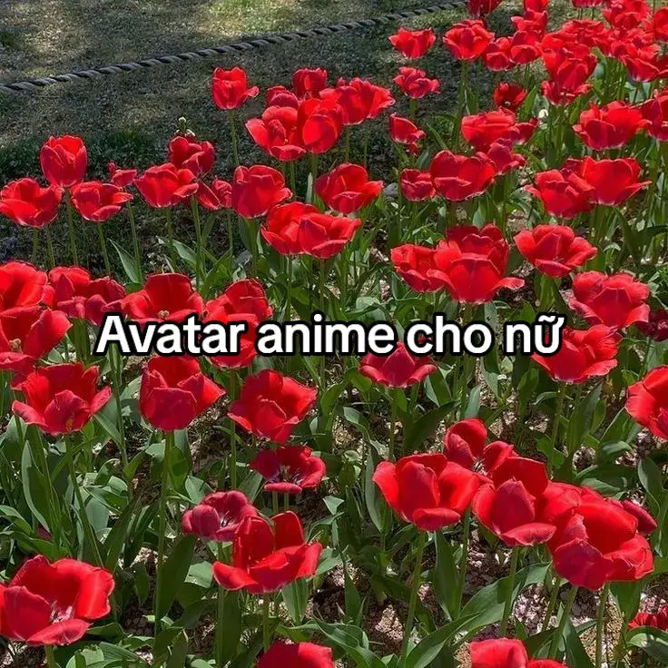 Đừng flop nữa mò 😫#xuhuong #x #xuhuongtiktok #xuhuongtiktokk 