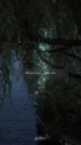 #مەلا فایەق شارەزوری #explore #foryoupage #foryou #munna_aa3 #ramazan #quranvideo 