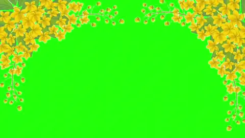 Green Screen ထုတ်ပေးပါဆိုလို့ #30kfollowersplease😭😭 #မင်းတို့ပေးမှ❤ရမဲ့သူပါကွာ #1mviews #Rikichou #MLBBGoldenMonth #MLBBGetItFree #MLBB 