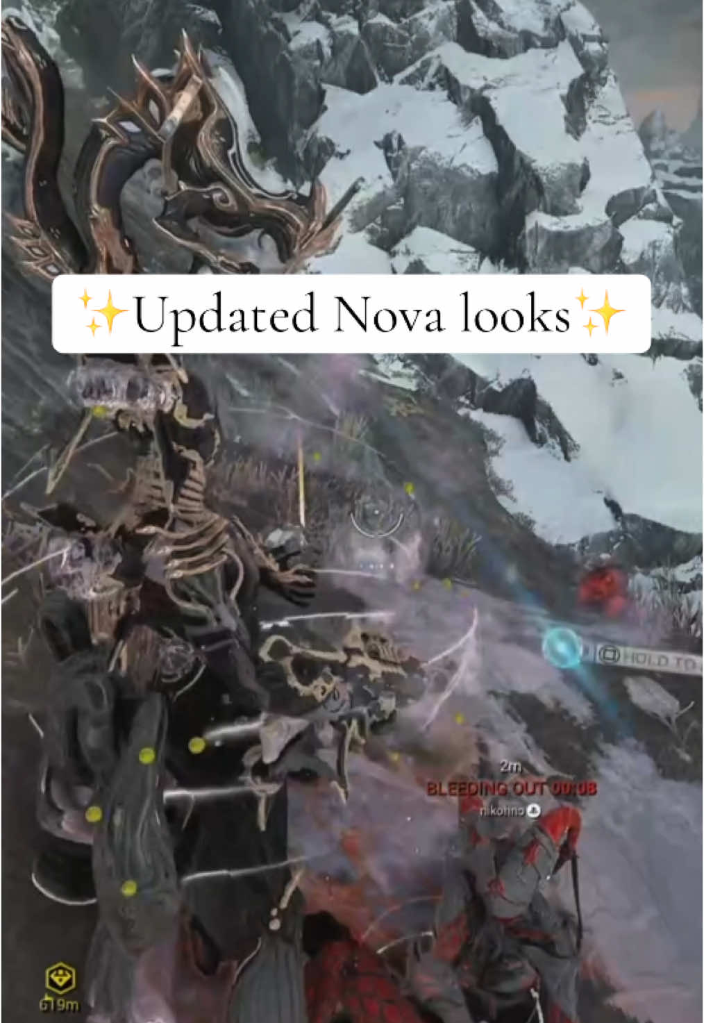 Some Nova fashions since the Gemini skin was announced  #warframe #warframecommunity #warframetiktok #fashionframe #videogames #playstation #fyp 