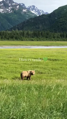 Respuesta a @emiliacabrera54 Dios es verde también 💚 vemos que las grandes montañas y el cielo antártico son como Él, de verdad el creador sabe todo lo que hace  #dios #hagamosviralajesus #verde #creacion #cristiano #cristianostiktok #esperanza #felicidad #salud #jesus 