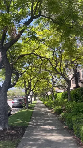 #Love#usa#foryoupage #video#newyork#unitedstates #queen #manhattan #videoviral #youloveme 