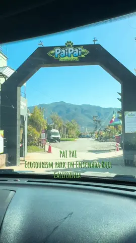 Park Pai Pai 💚. #paipai #ensenadabajacalifornia #Vlog #pyf #capivara #animalestiktok #park 