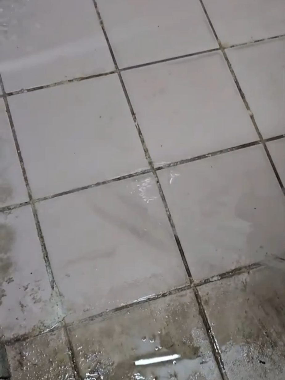 Cleaner toilet pembersih kerak wc #toiletcleaner #pembersihkerak #pembersihlantai #pembersihkerakwc #cairanpembersihkerak 