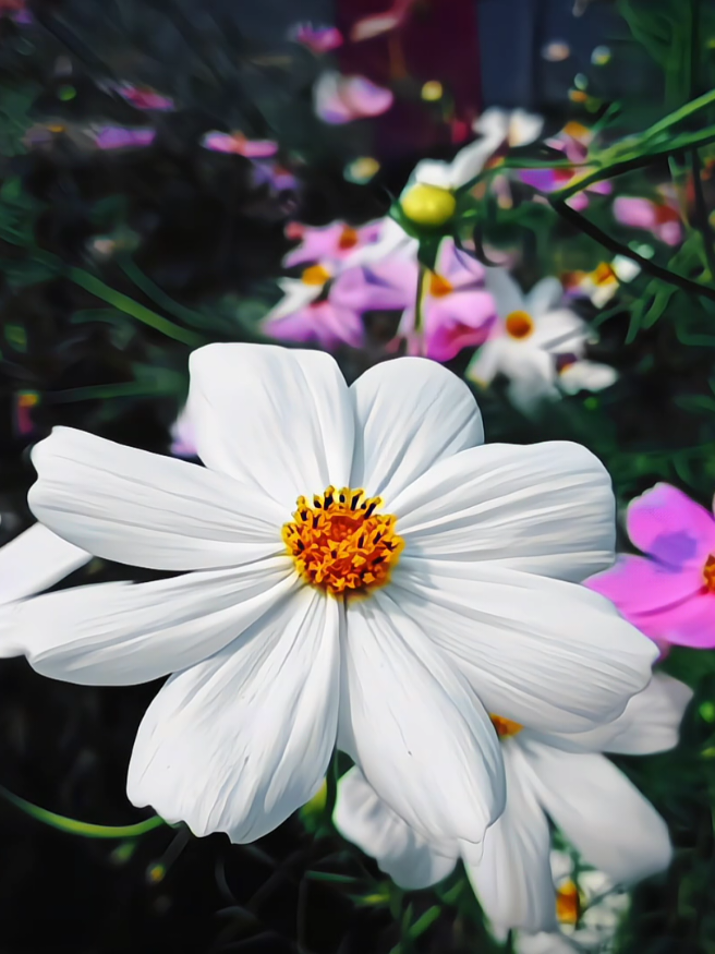 মানুষ তার অর্ধেক জীবন কাটিয়ে দেয়, একদিন সব ঠিক হয়ে যাবে সেই আশায়! ❤️‍🩹🙂 #foryou #foryoupage #viral #videography #fxmaruf09 #team_of_fx 