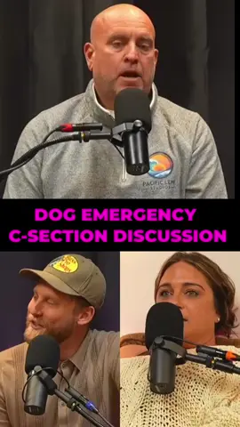 Emergency C-Section Costs for Pregnant Dogs Revealed Discover the surprising costs associated with emergency C-sections for pregnant dogs. We share insights on pricing variations between clinics and the importance of quality care, ensuring pet owners are well-informed before making crucial decisions. #DogCSection #EmergencyVet #PetCareCosts #DogPregnancy #VetBills #PetOwners #QualityVetCare #EmergencyCSection #DogHealth #PetParenting #VeterinaryCare #ResponsiblePetOwnership #PregnantDogs #VetCosts #AnimalWelfare #pethealth #pets #popdcast #fyp #animals #puppies #breeds #animalcare #animalhealth